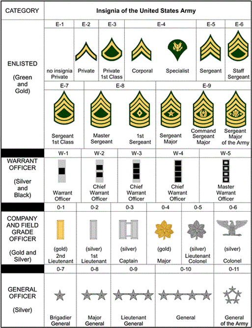 US Armee Dienstränge und Rangabzeichen